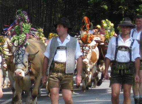 Almabtrieb